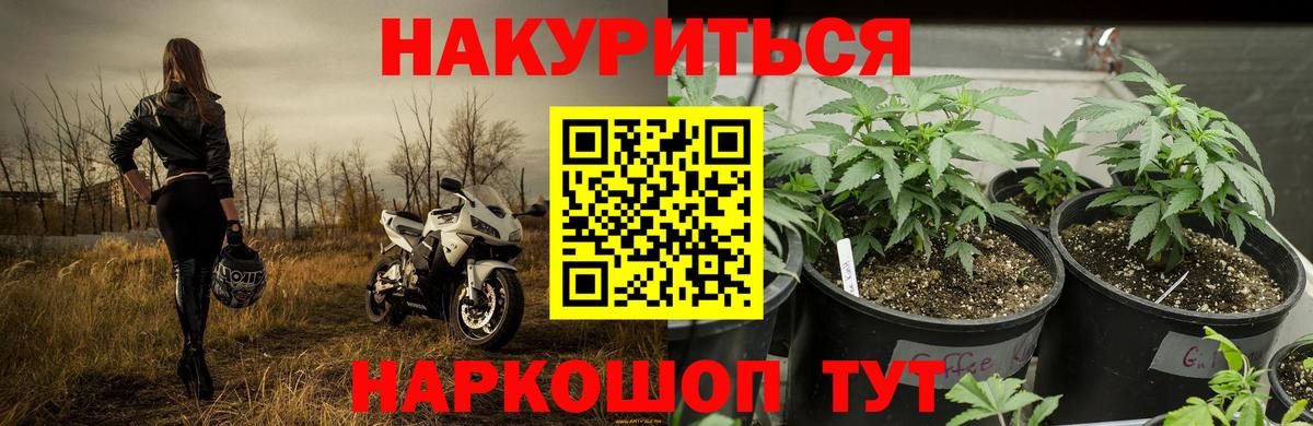 Шишки марихуана семена  Каннабис ГИДРОПОН  Вход с VPN  Шишки марихуана SATIVA & INDICA  Сургут 